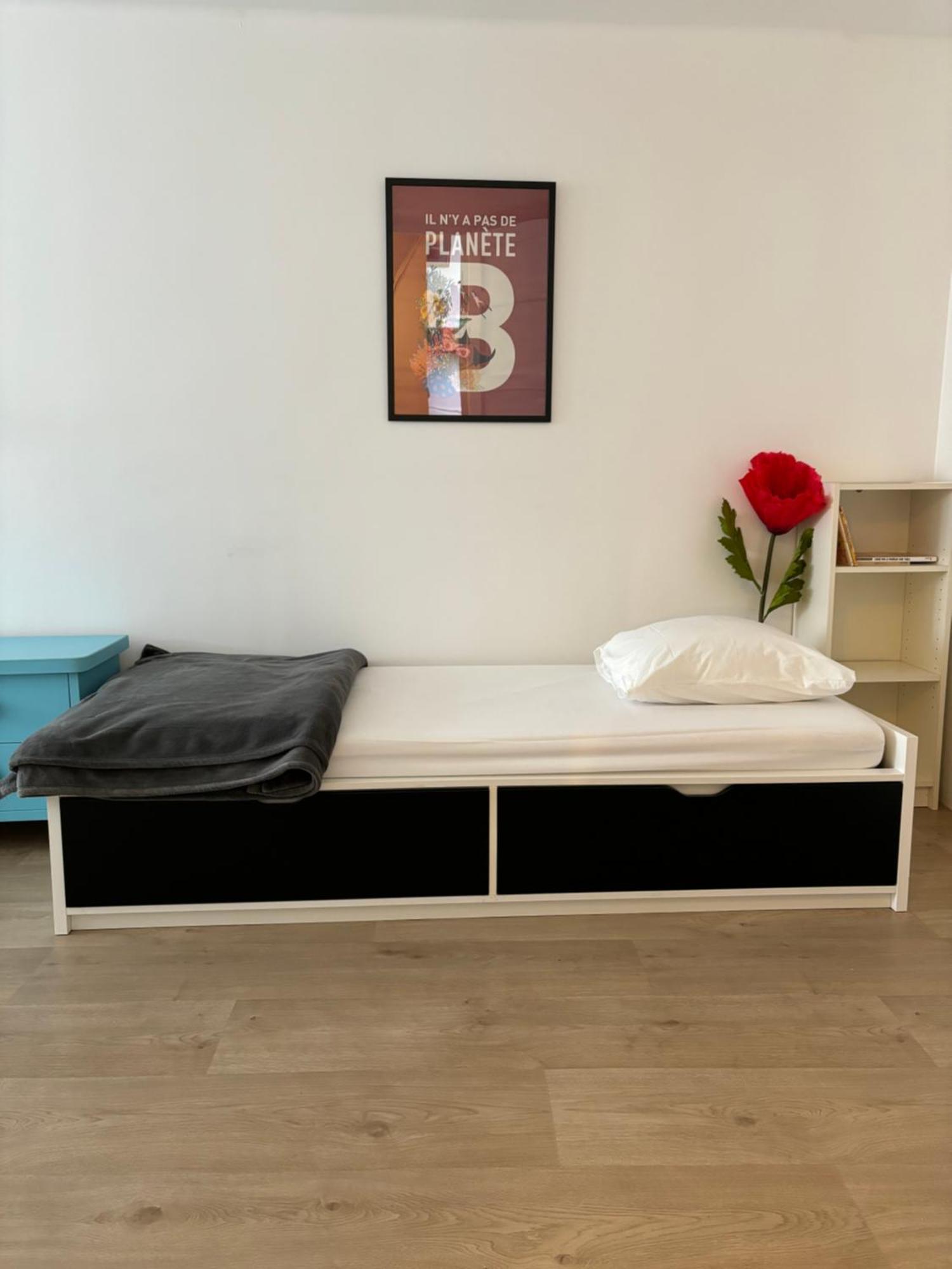 Maison A Louer 3 Chambres ซัคทรูวิลล์ ภายนอก รูปภาพ